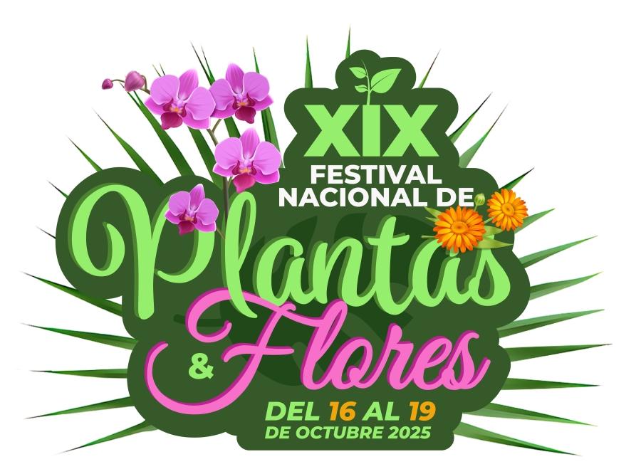 Carta de categoria